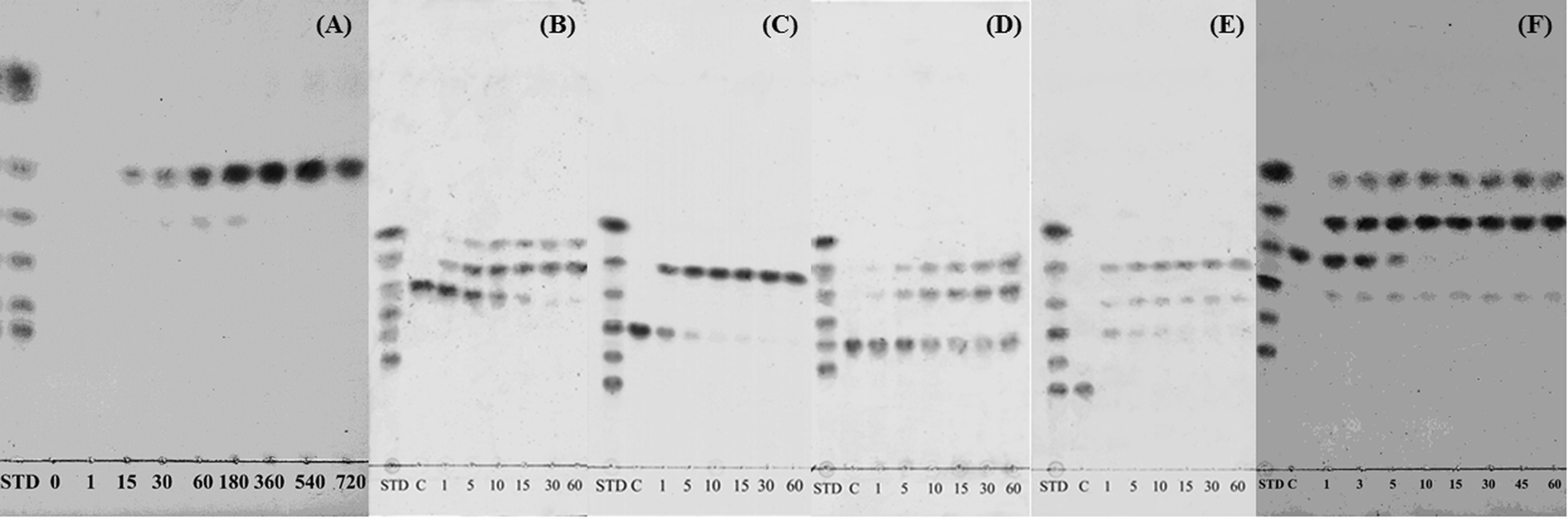 Fig. 5