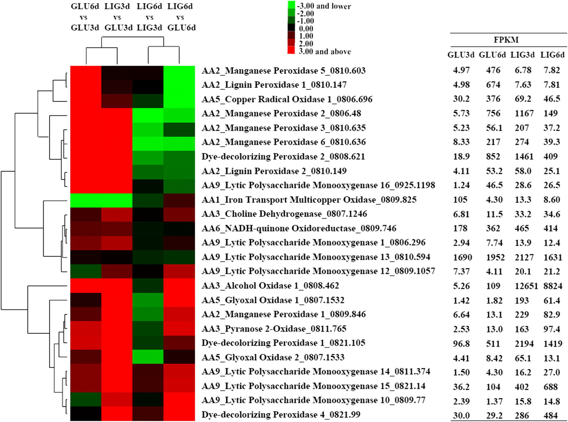 Fig. 3