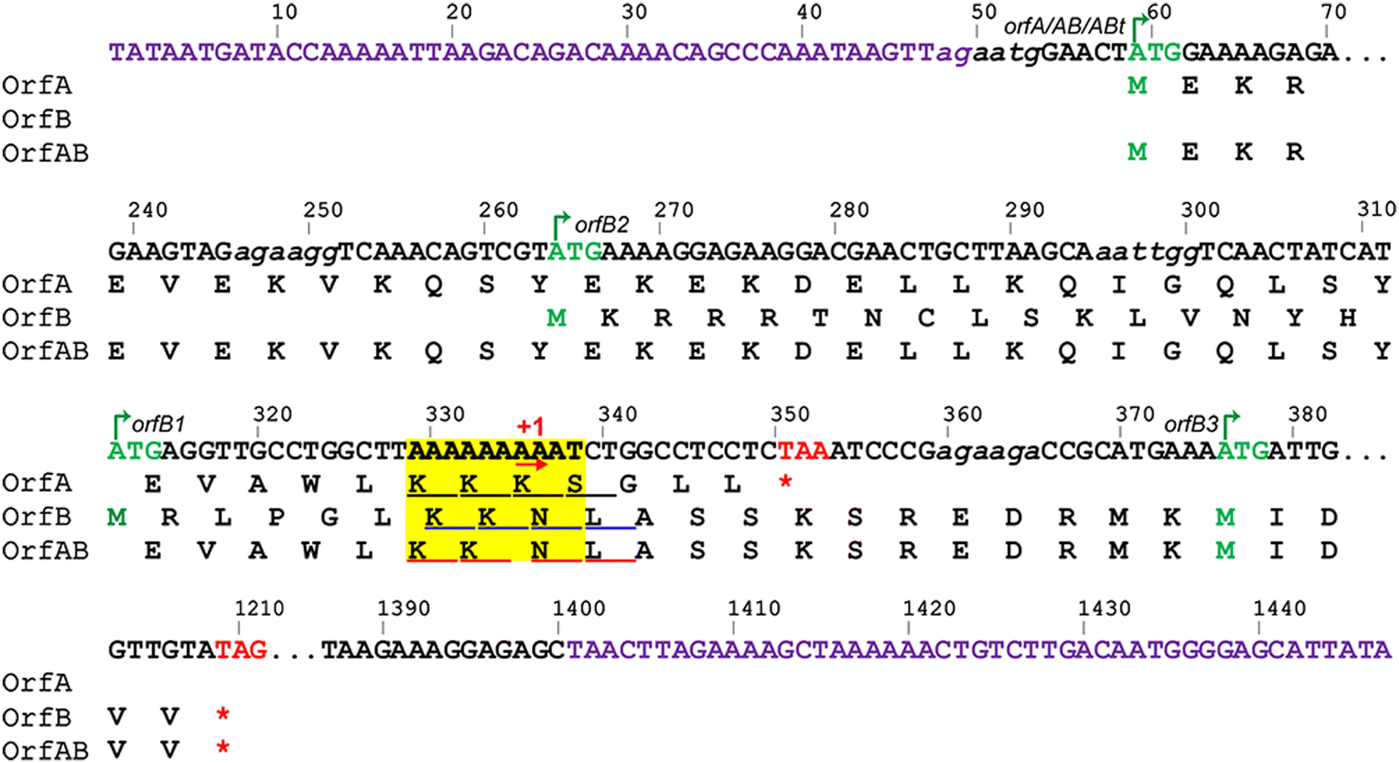 Fig. 3