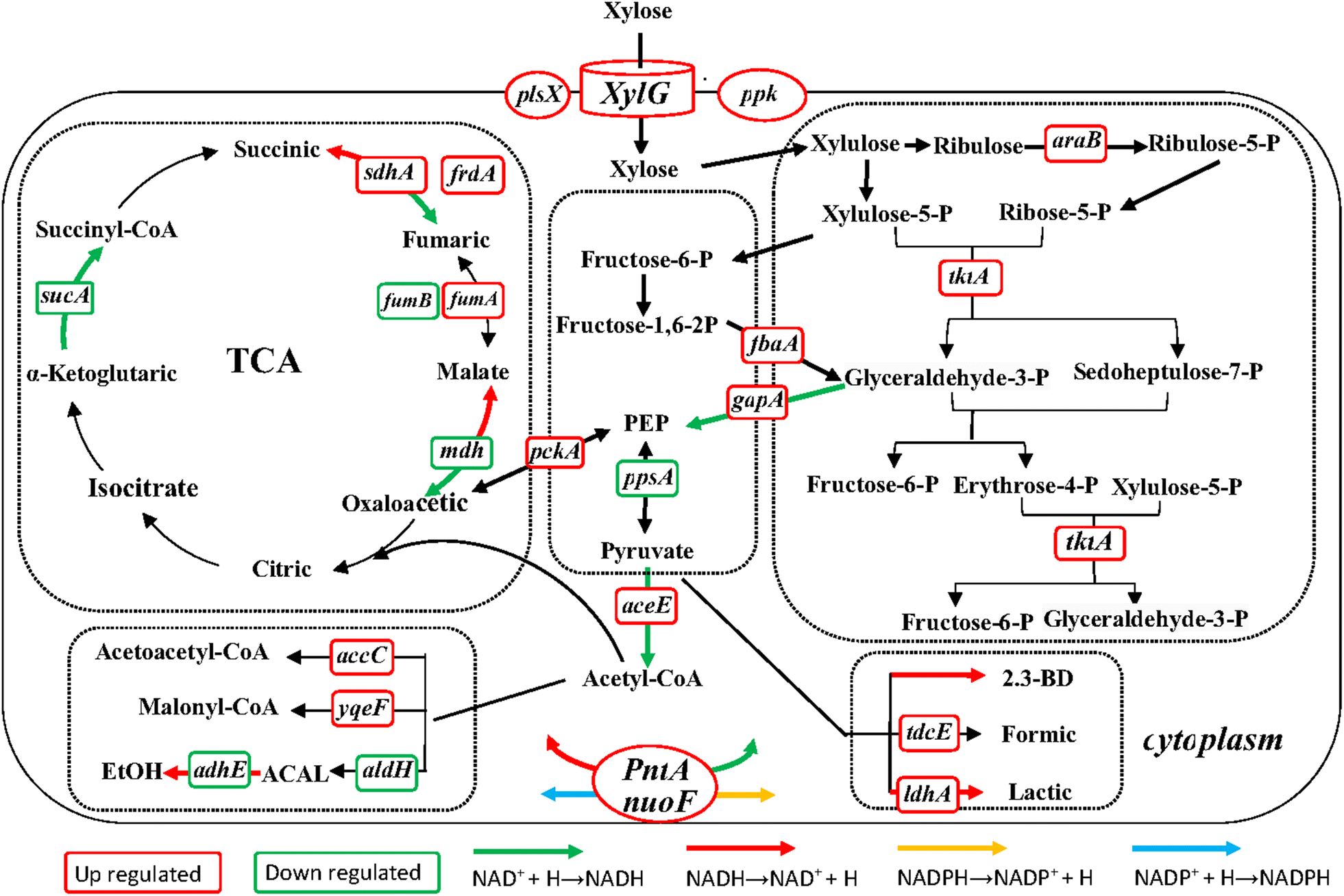 Fig. 7