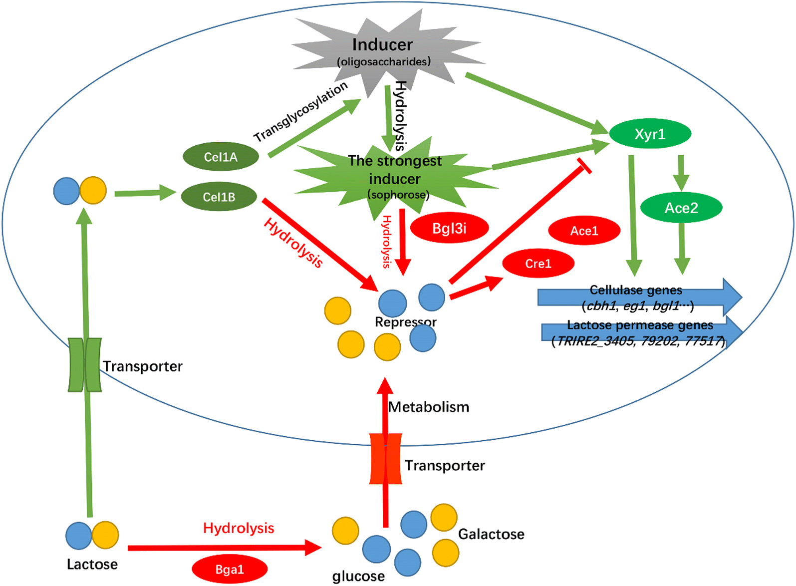 Fig. 8