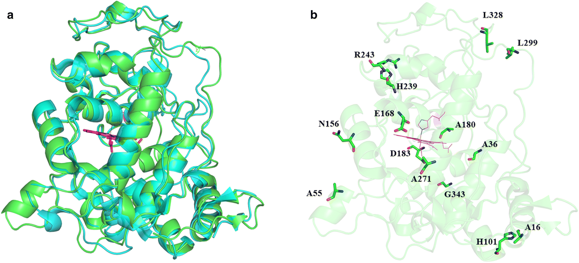 Fig. 1