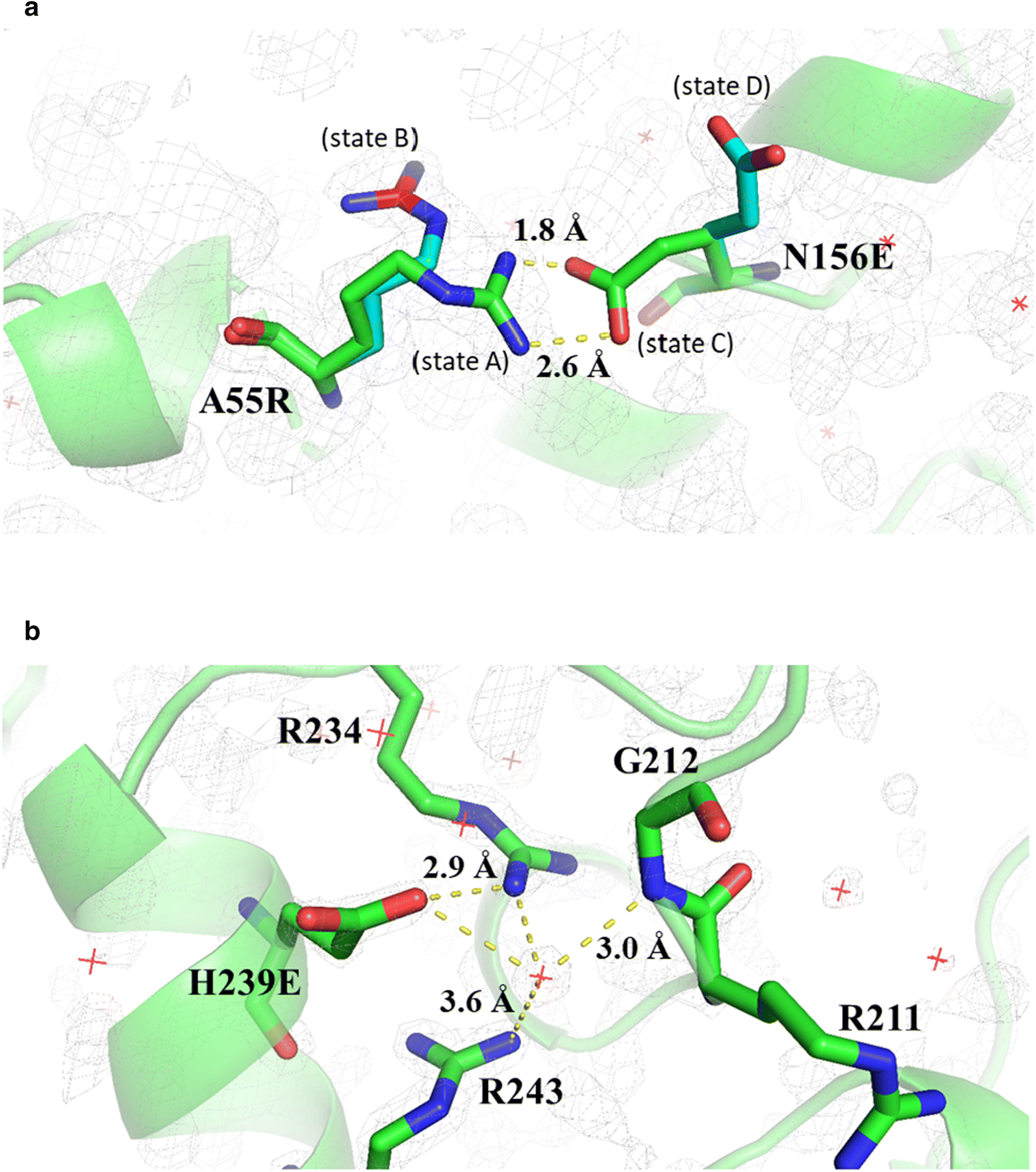 Fig. 4