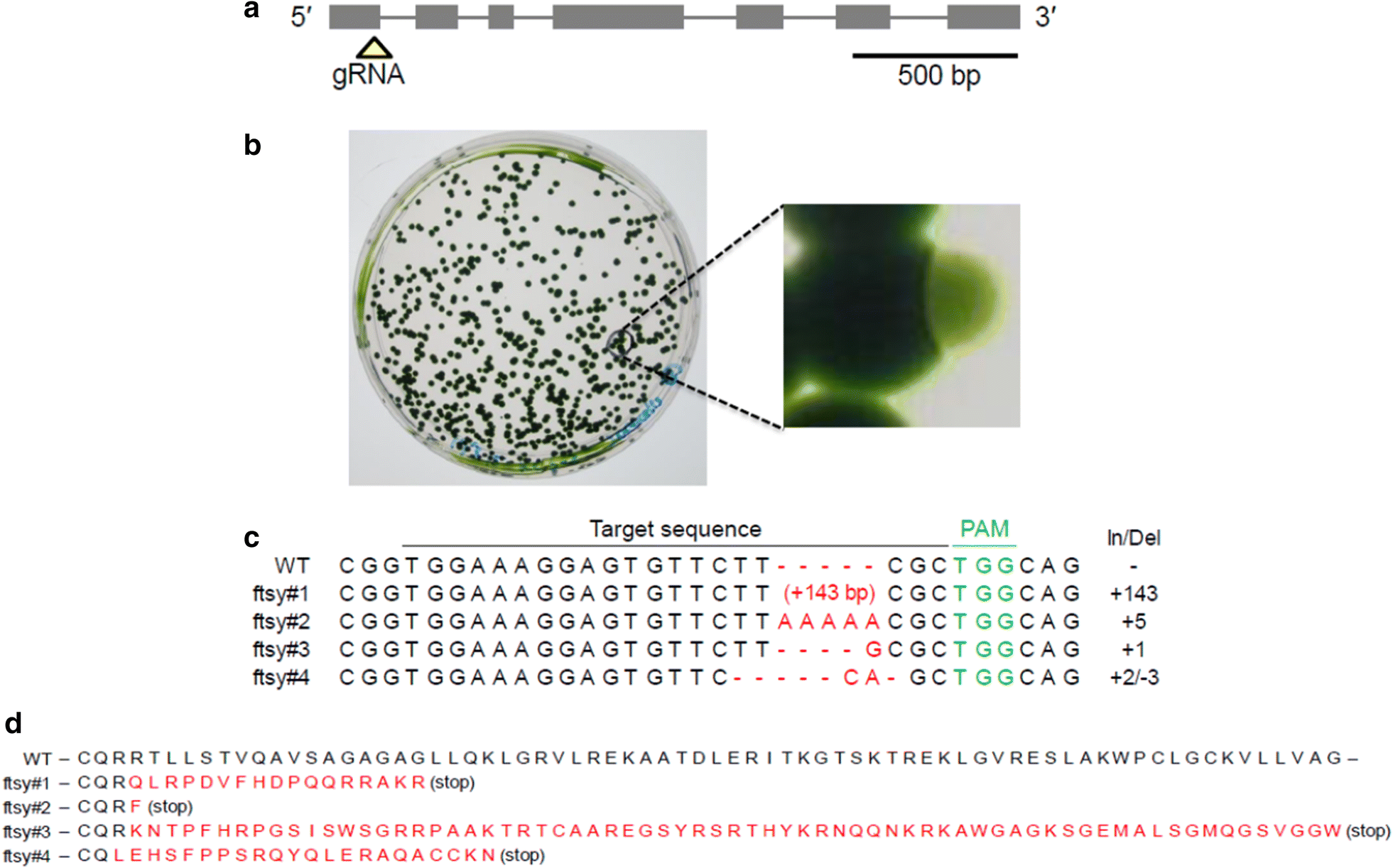 Fig. 4