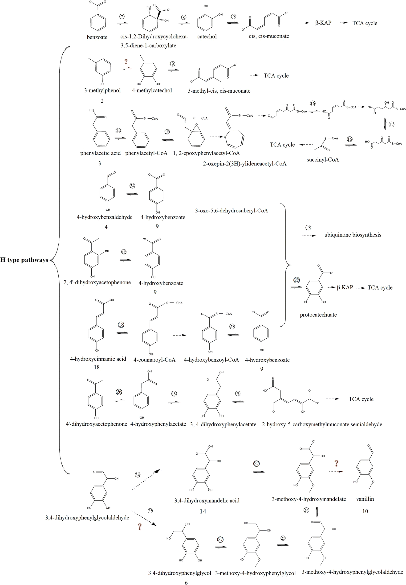 Fig. 7