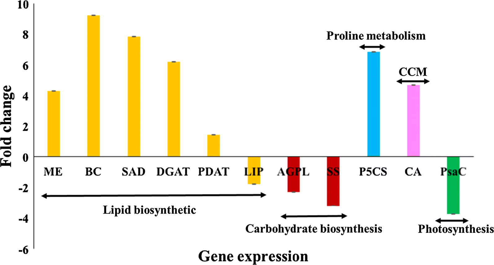 Fig. 6