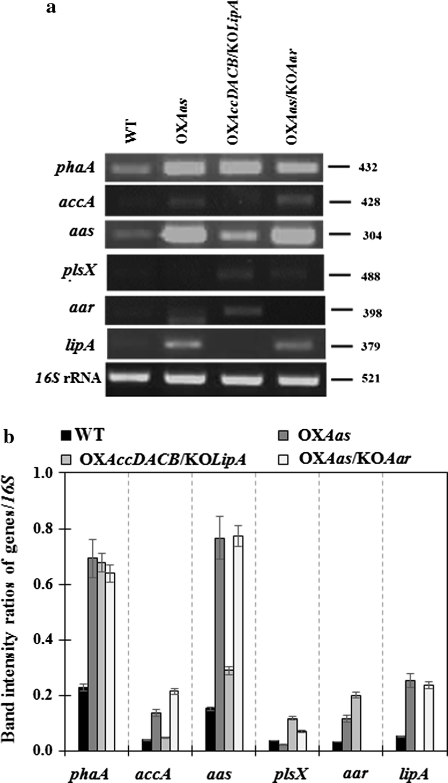 Fig. 6