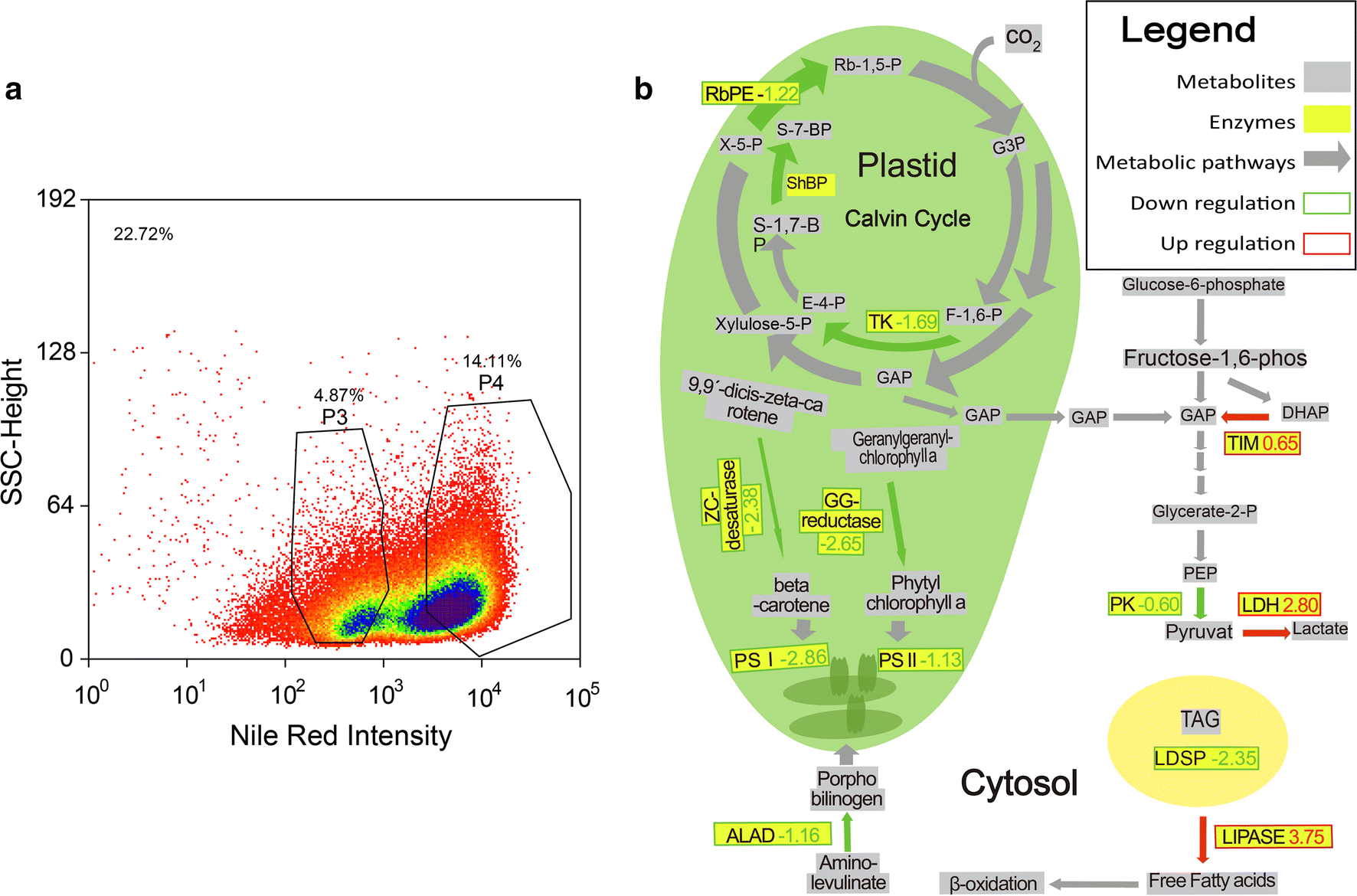 Fig. 3