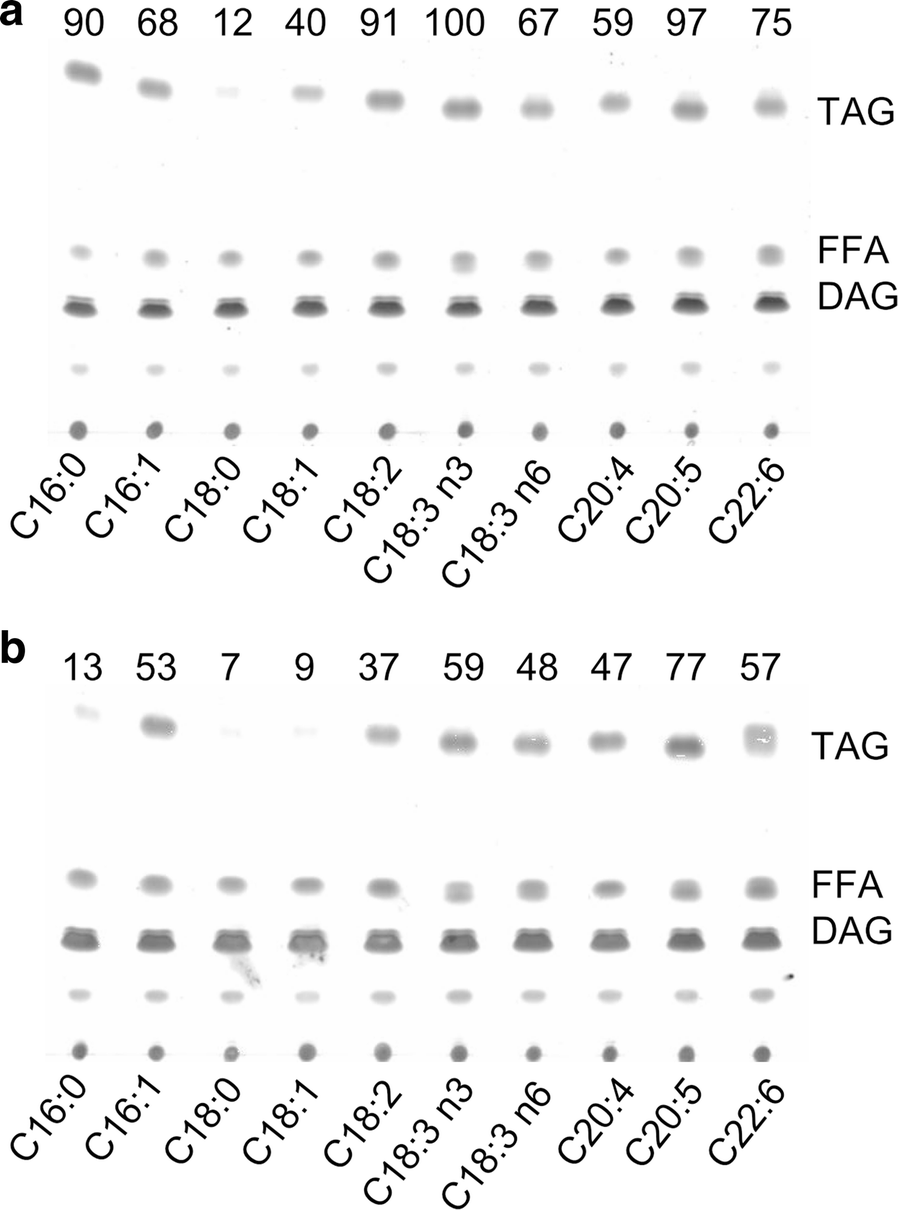 Fig. 3