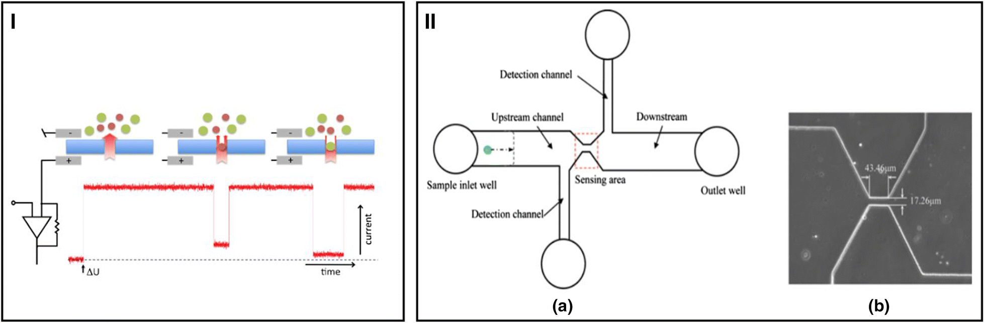 Fig. 2