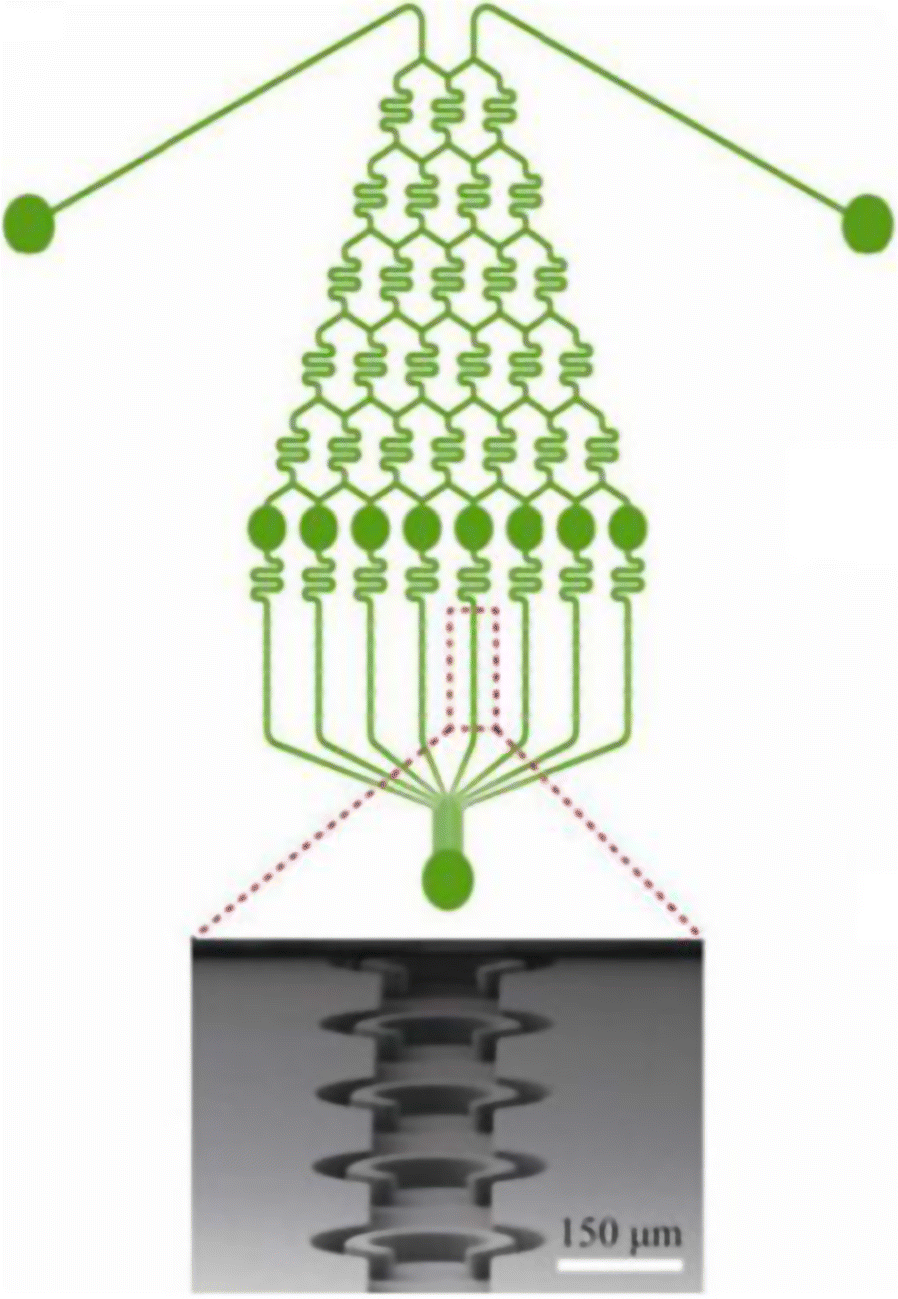 Fig. 6