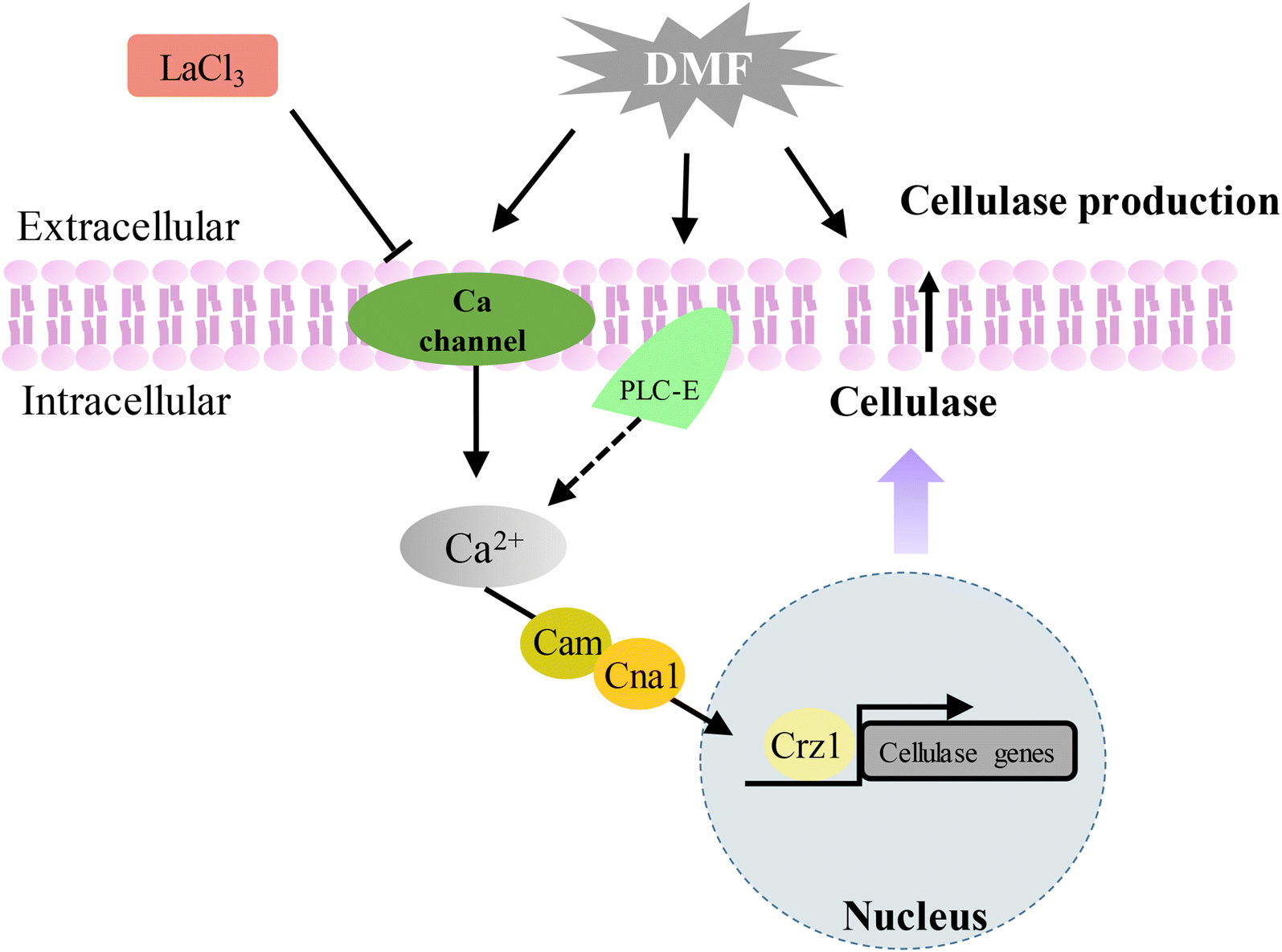 Fig. 7