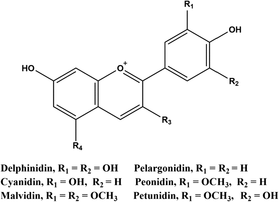 Fig. 1