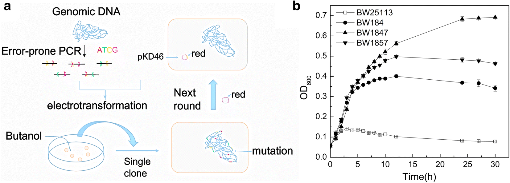 Fig. 1