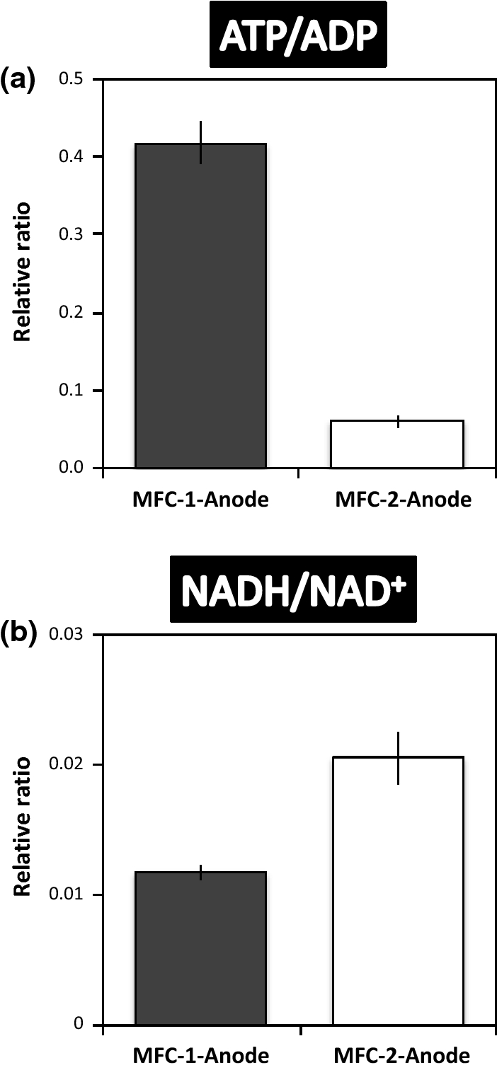 Fig. 6