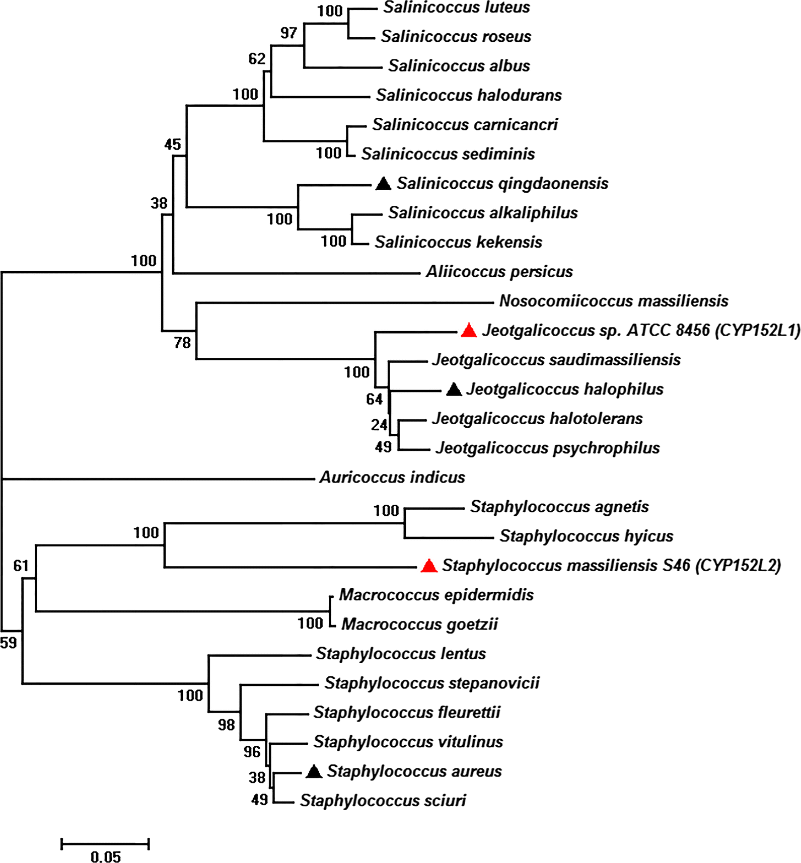 Fig. 2