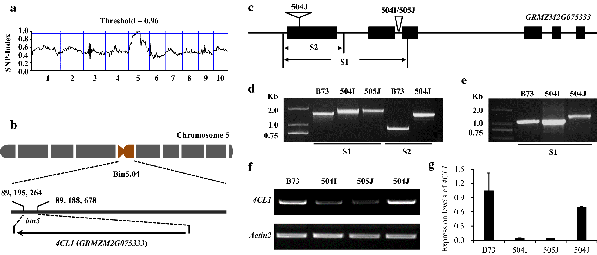 Fig. 2