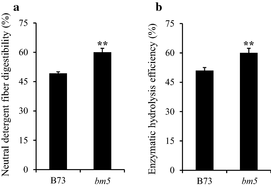 Fig. 7