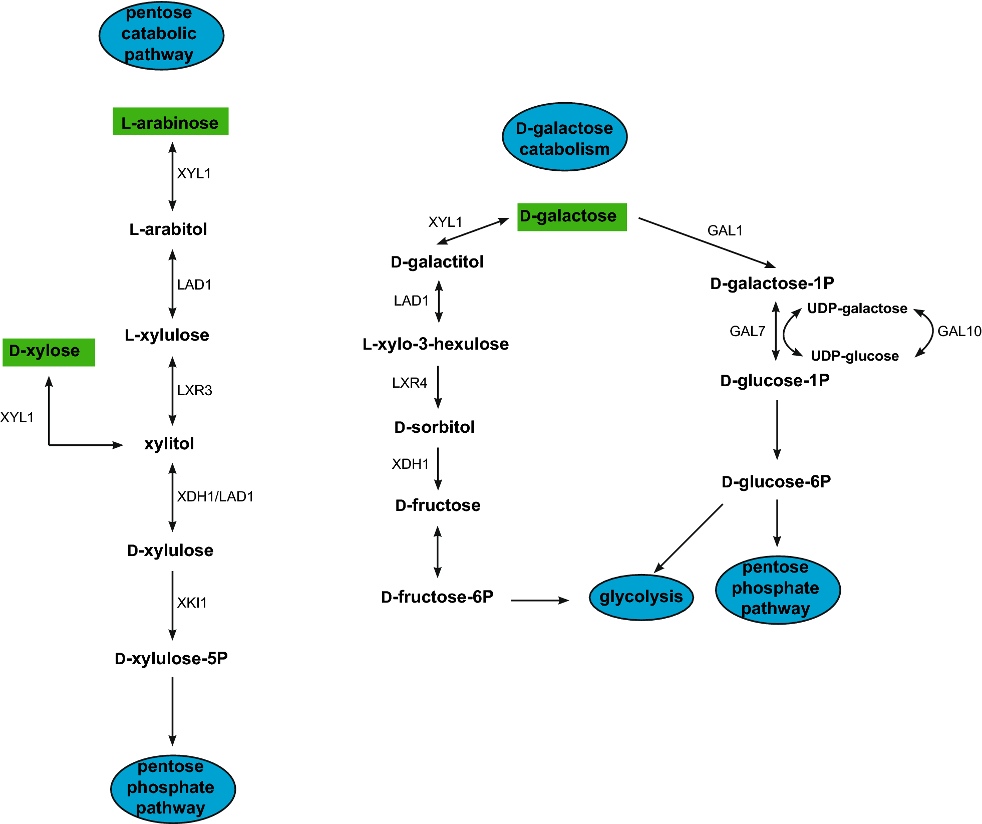 Fig. 1