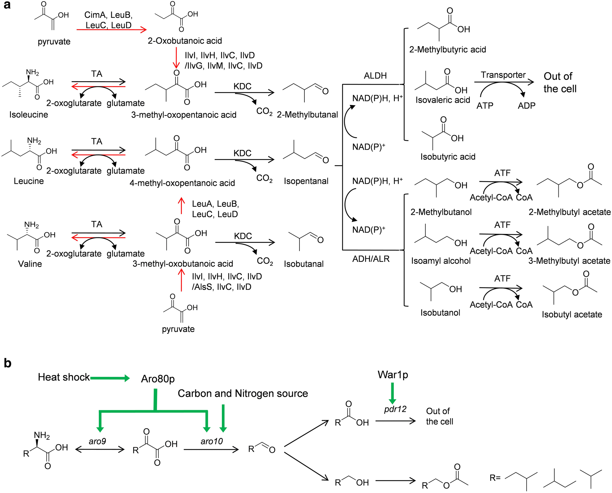 Fig. 1