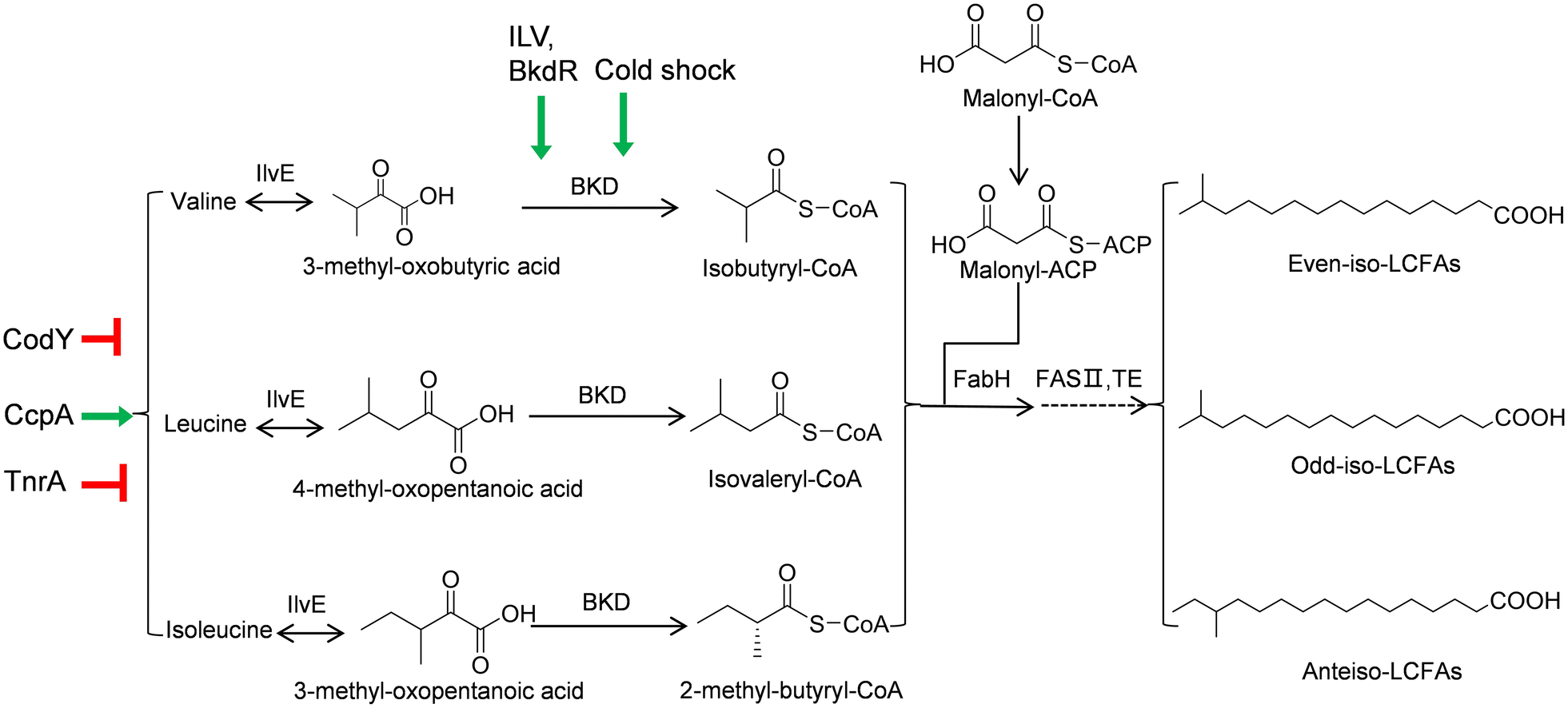 Fig. 2