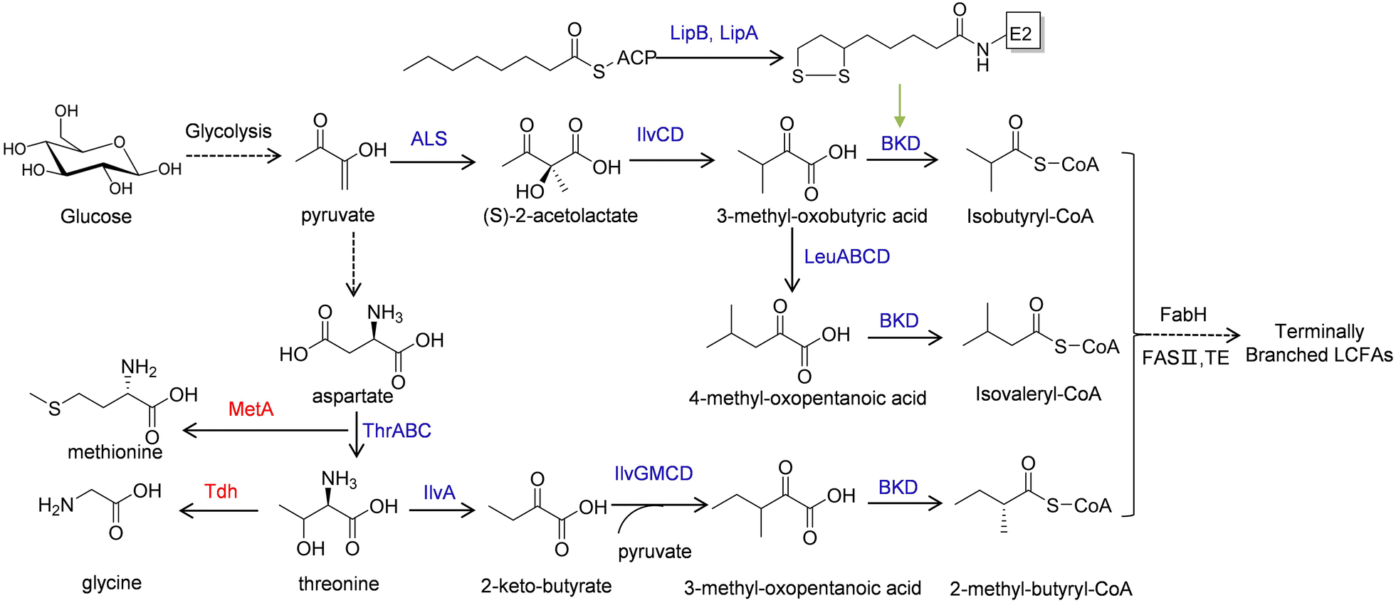 Fig. 3