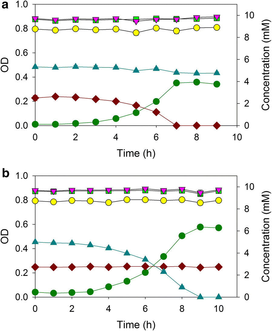 Fig. 4