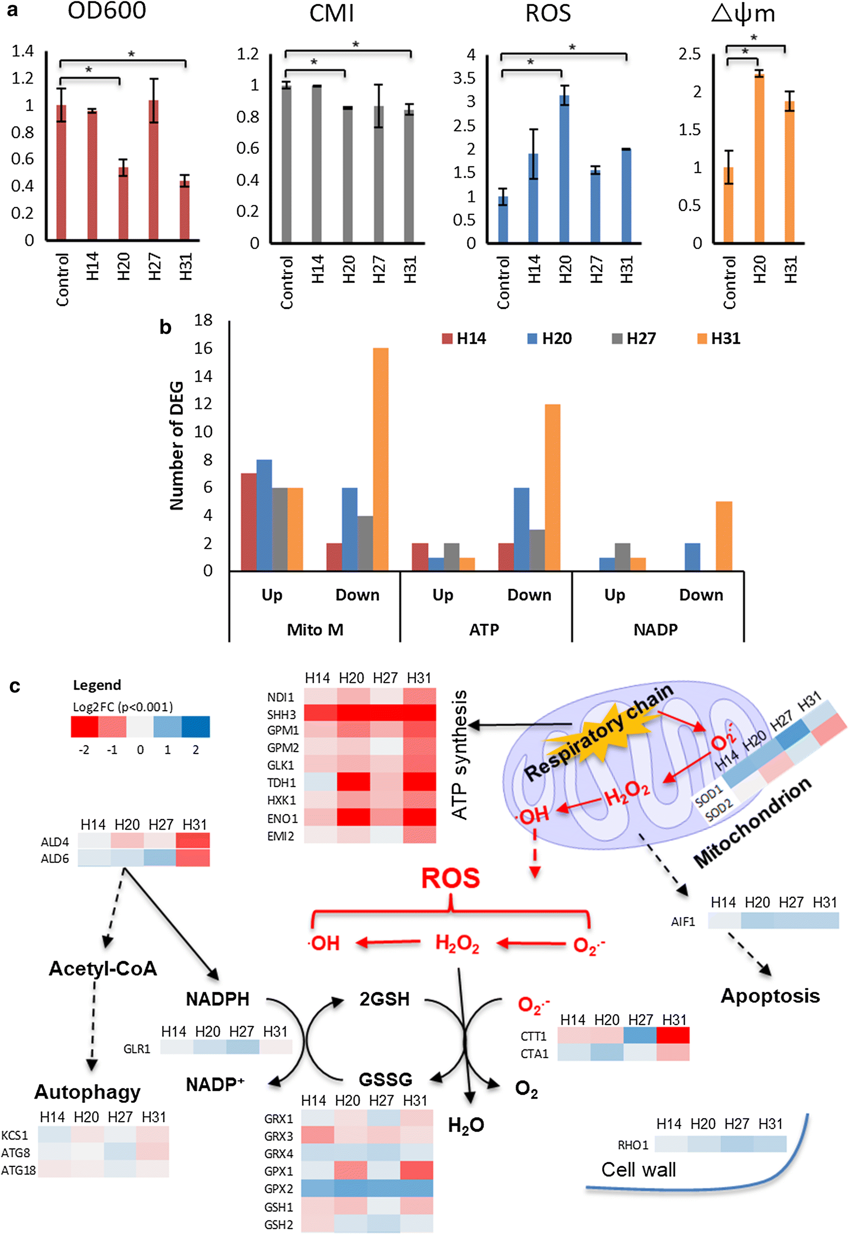 Fig. 4