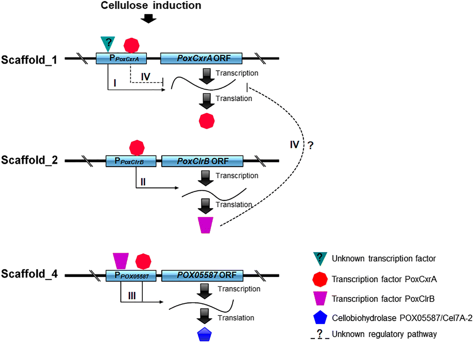 Fig. 10