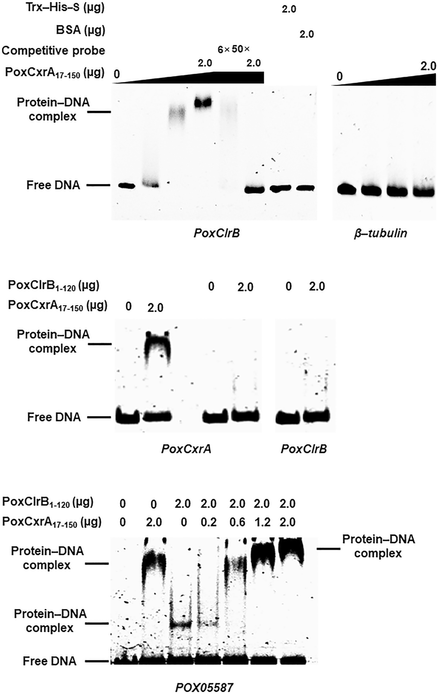 Fig. 5