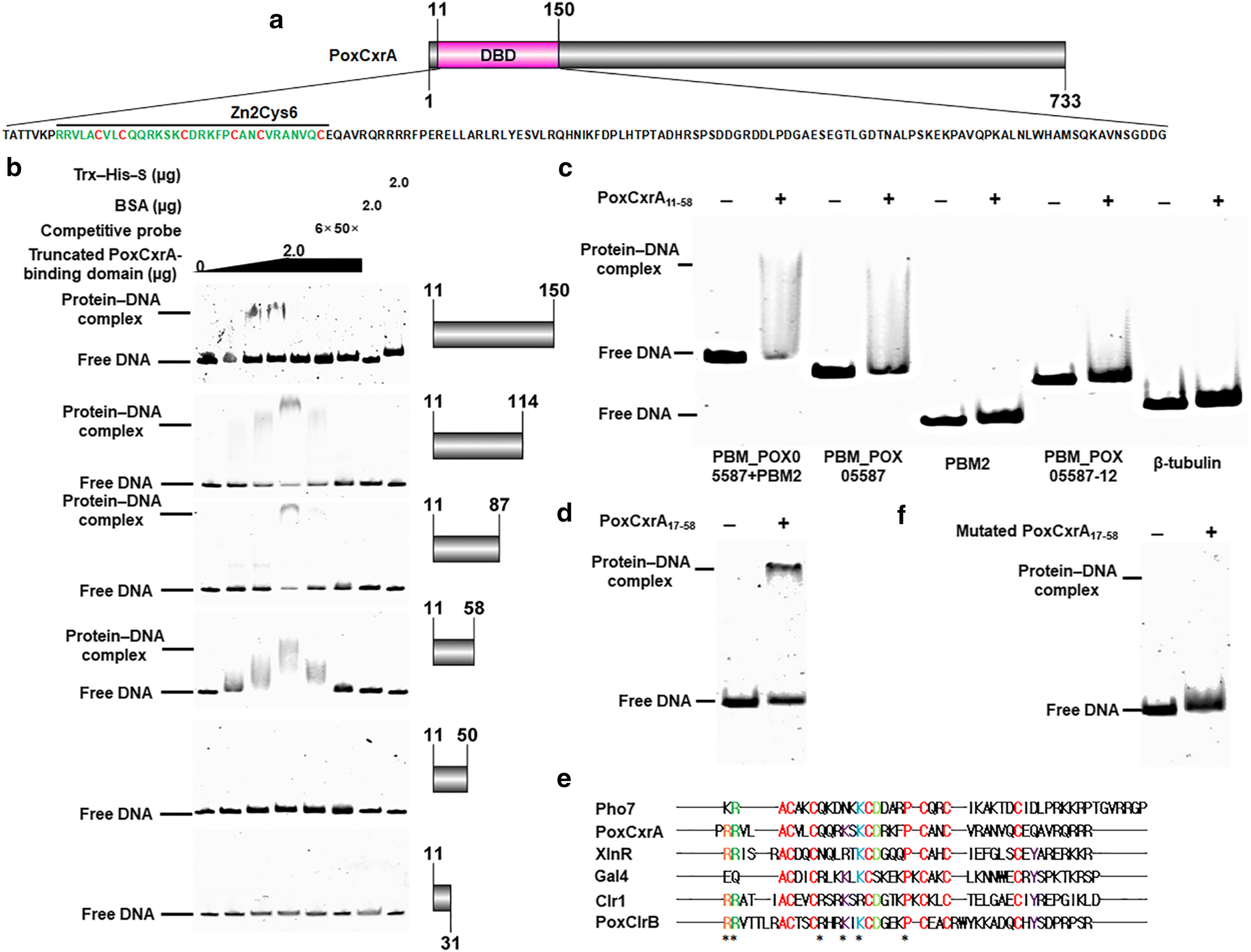 Fig. 9