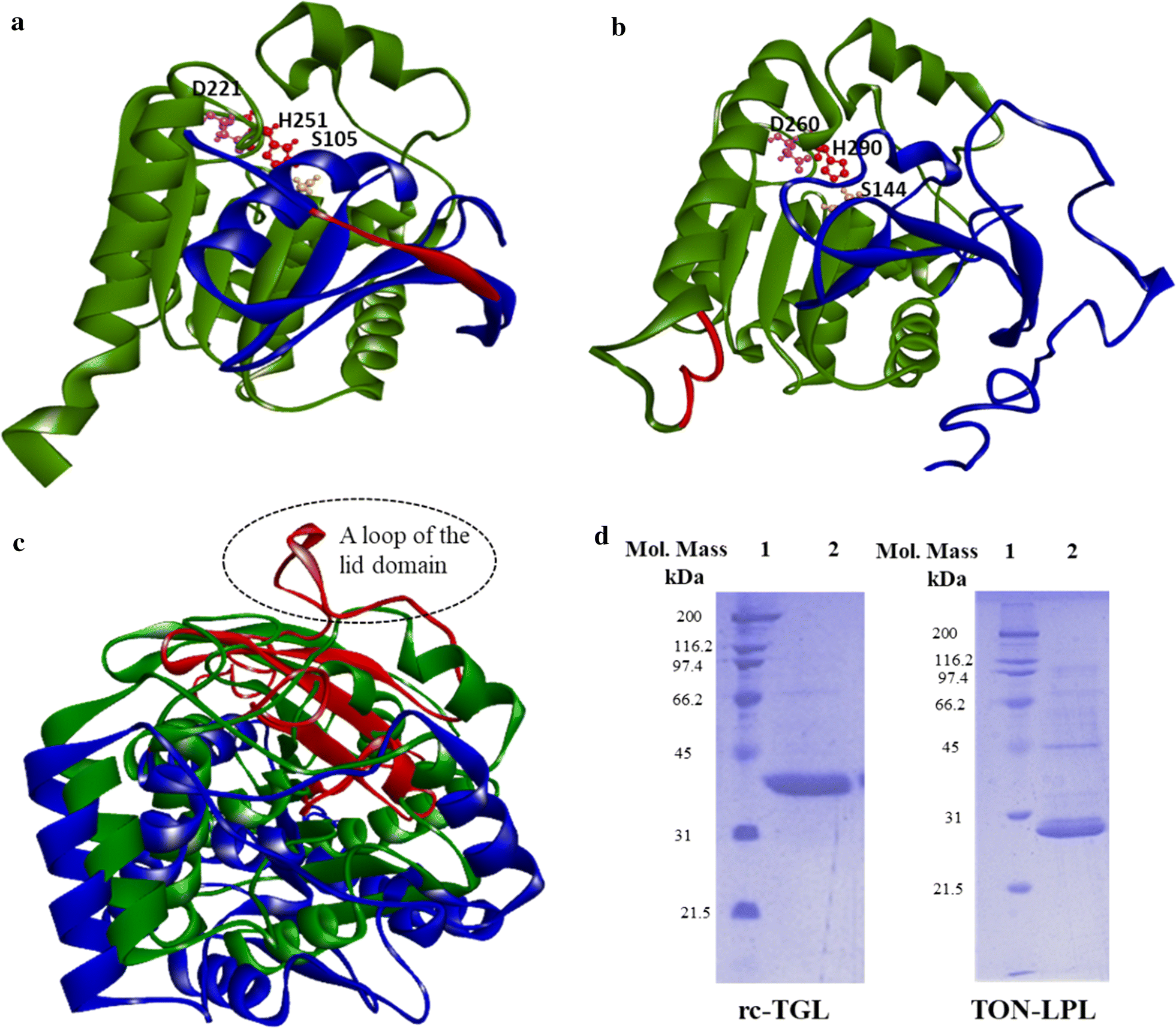 Fig. 1