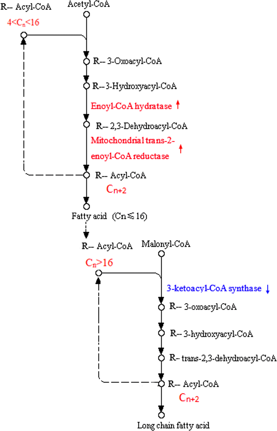 Fig. 6