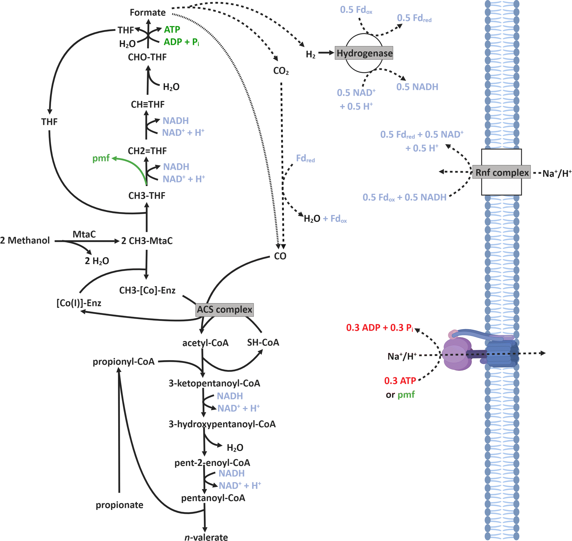 Fig. 5