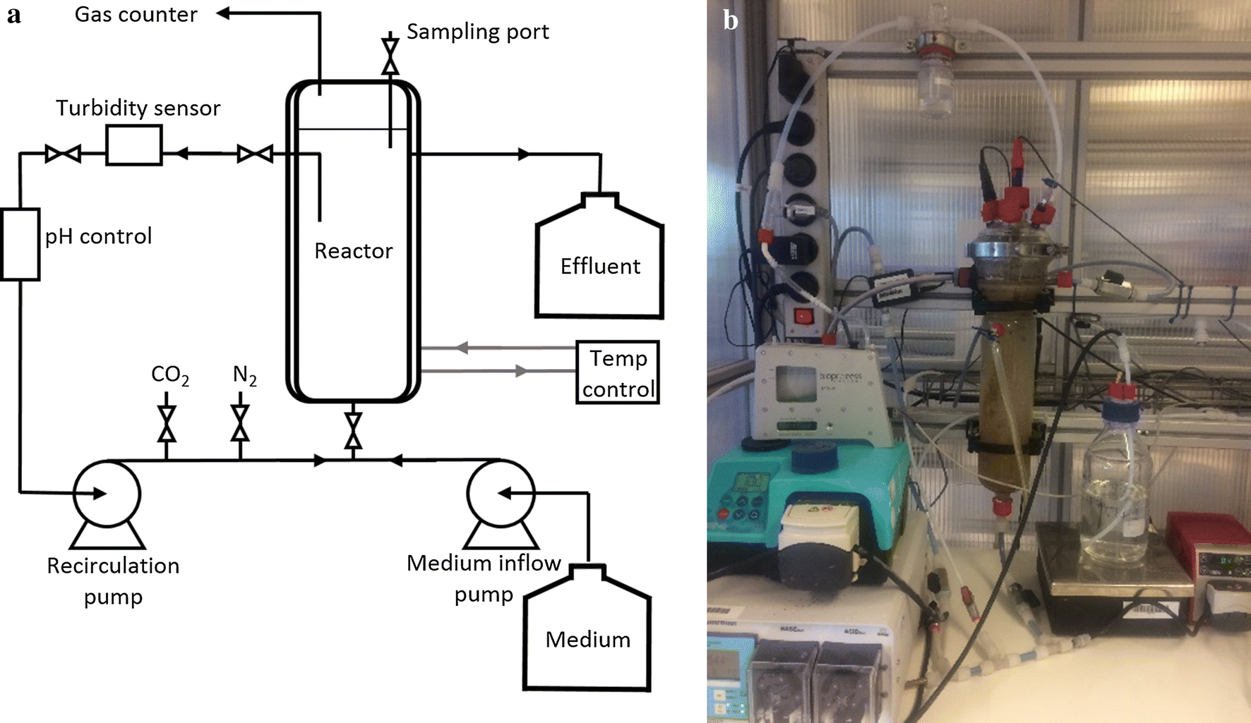 Fig. 7