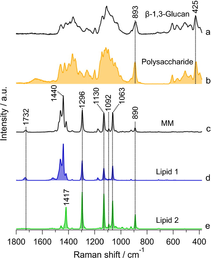 Fig. 4