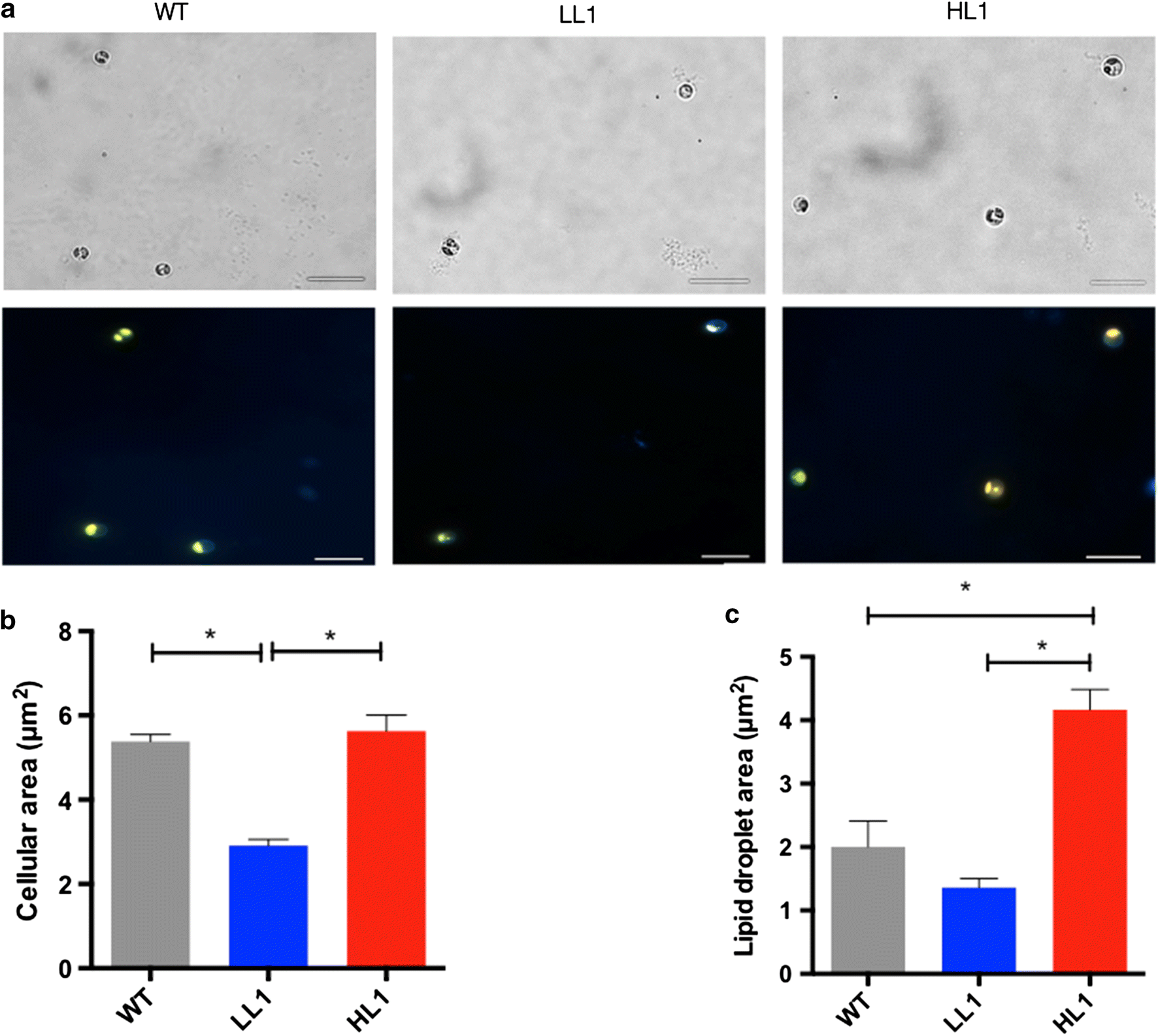 Fig. 4