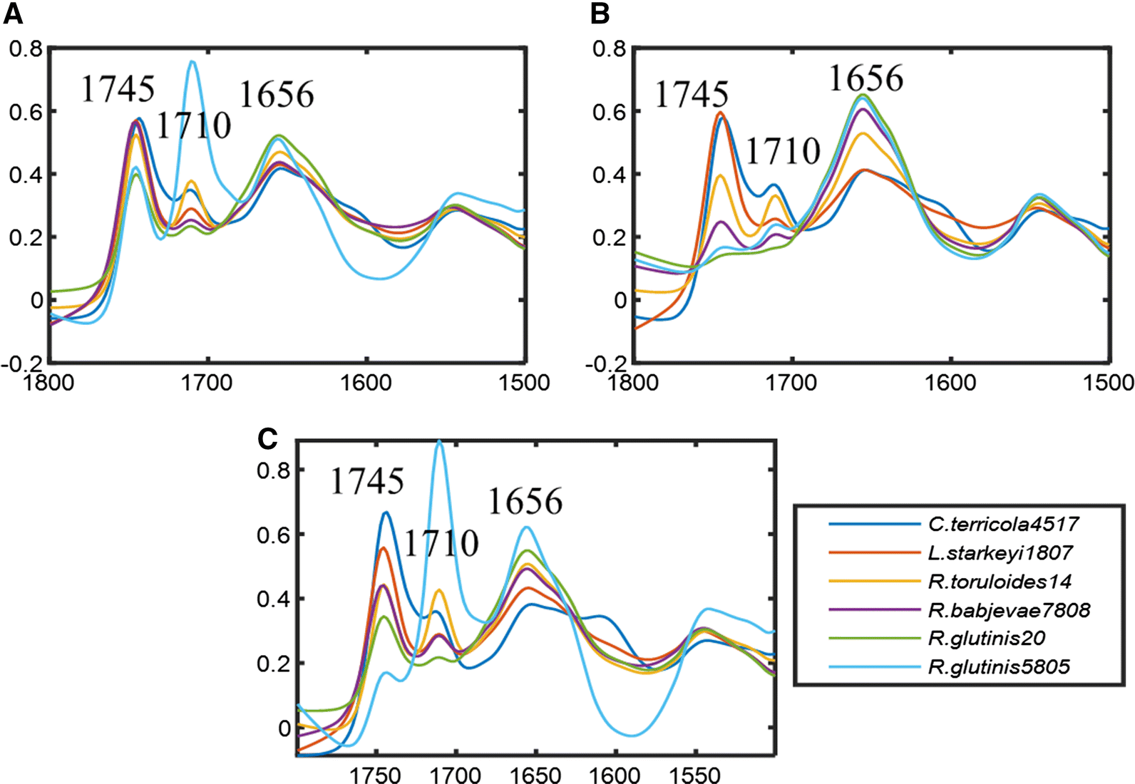 Fig. 2