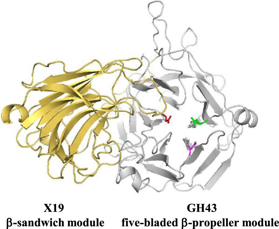 Fig. 1