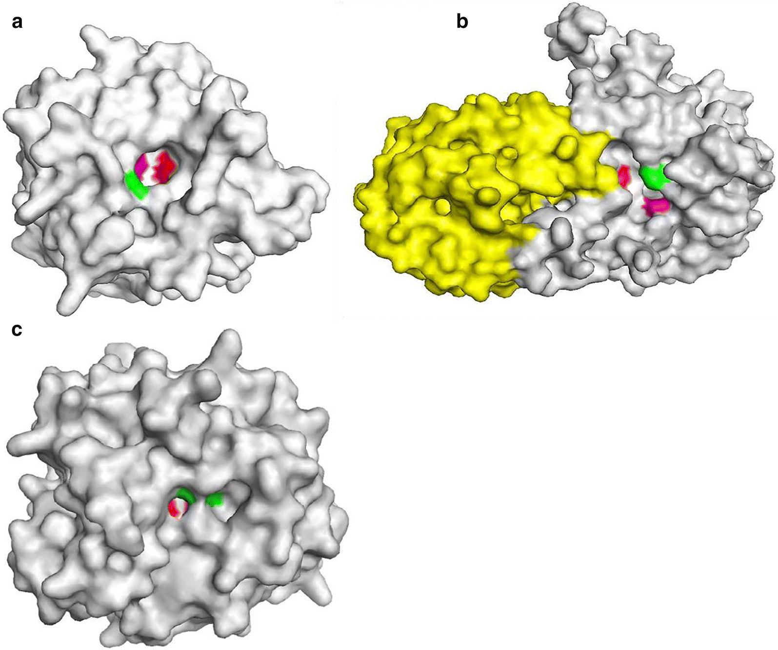 Fig. 4