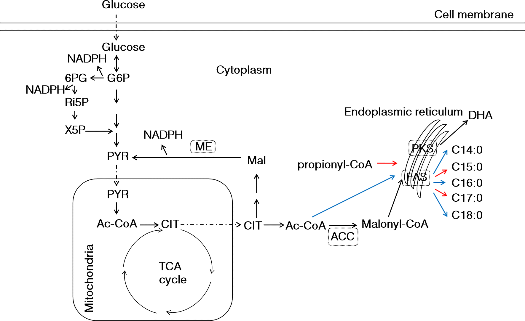 Fig. 1