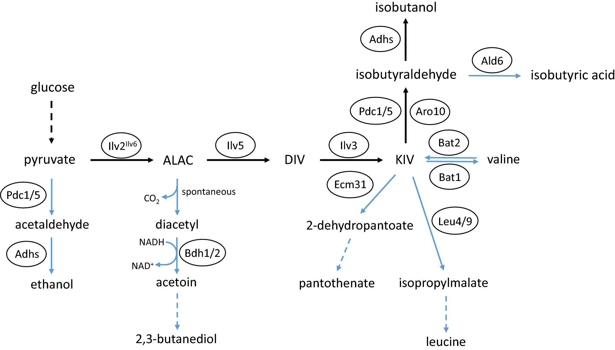 Fig. 2