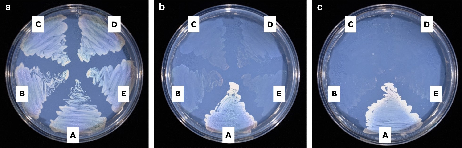 Fig. 4