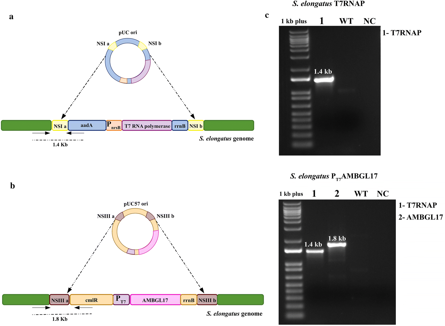 Fig. 1