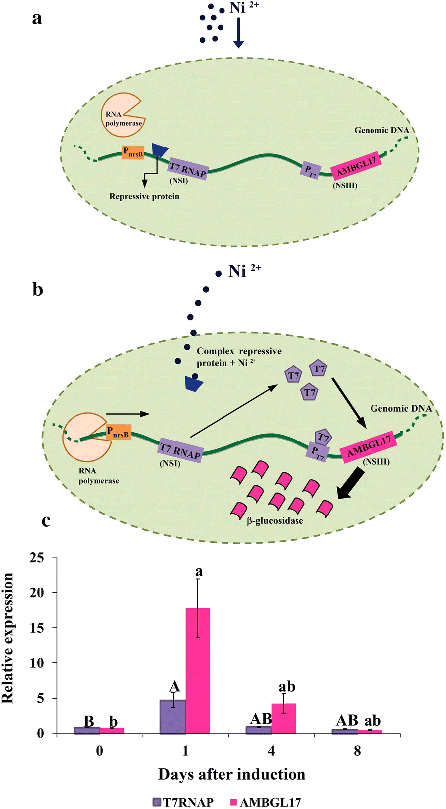 Fig. 3