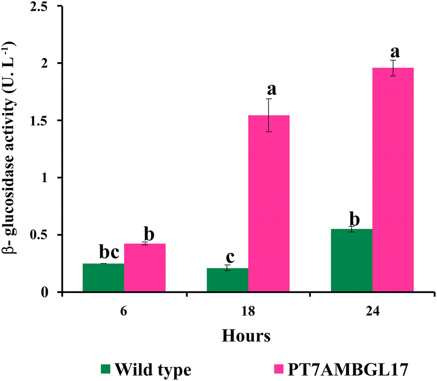 Fig. 4