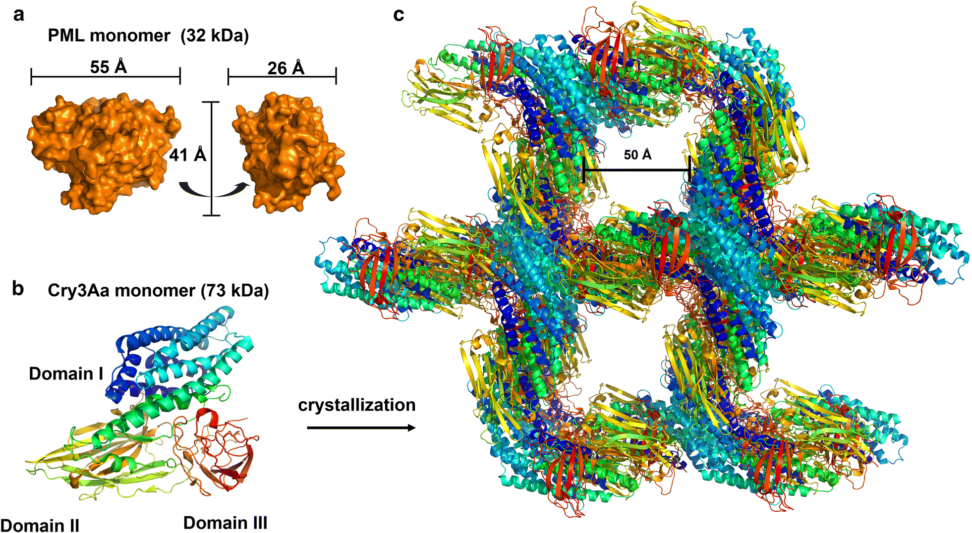 Fig. 2