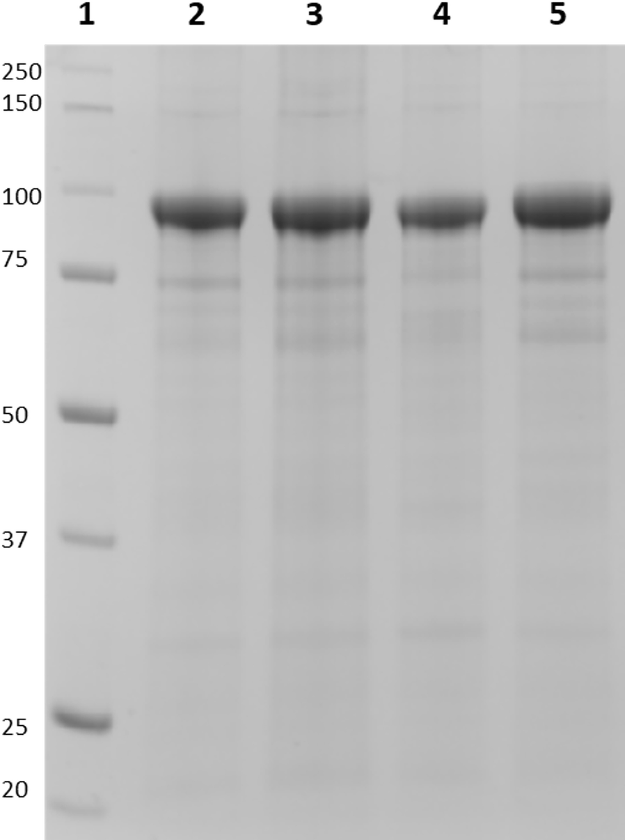 Fig. 3