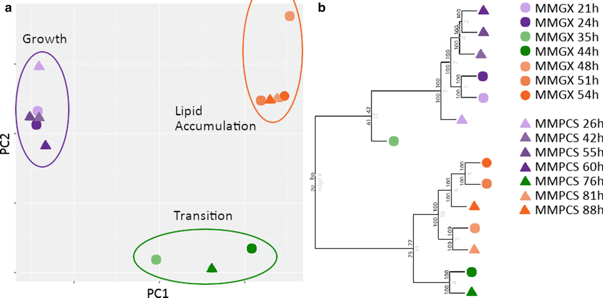 Fig. 4