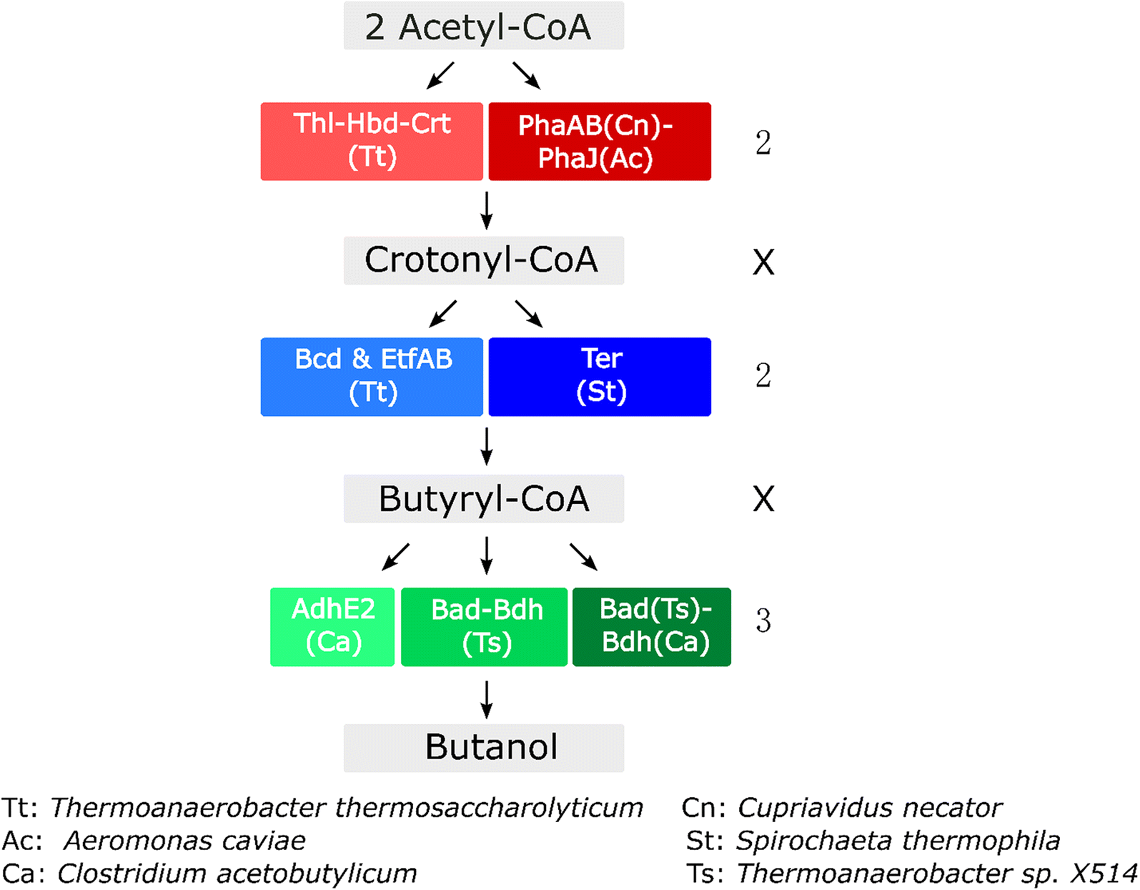 Fig. 2